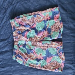 Boardies apparel little boy swimming trunks